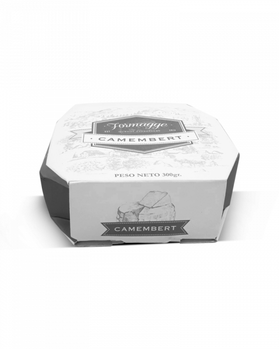 QUESO CAMEMBERT FORMAGGE X 300 GR
