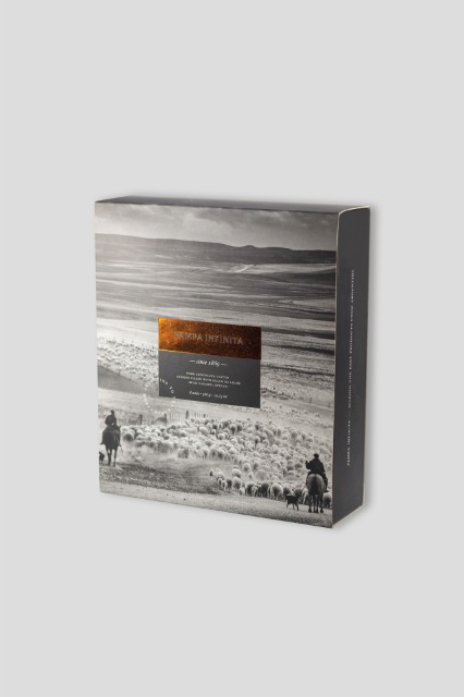  ALFAJORES PAMPA INFINITA 8 UNIDADES 560G