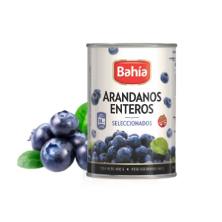 ARÁNDANOS ENTEROS BAHÍA X 520 GR